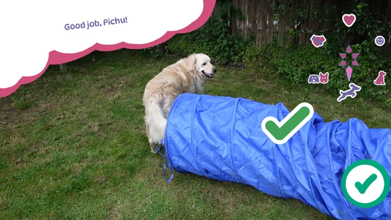 Golden Retriever Simple Life screenshot