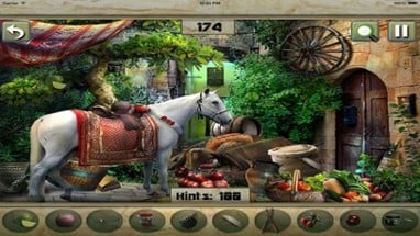 Hidden Objects:The Princess Wish Image