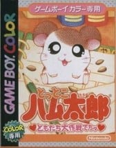 Tottoko Hamtaro: Tomodachi Daisakusen Dechu Image