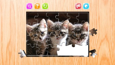 Cat Jigsaw Puzzles Game Animals for Adults Image