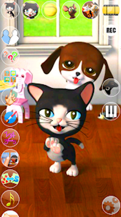 Talking Cat & Dog Image