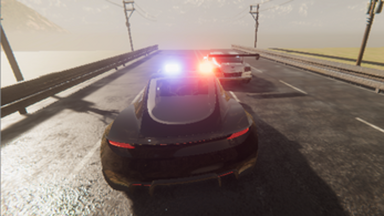 Police Race Image