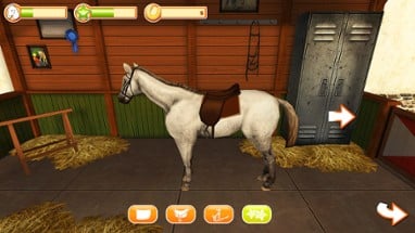 Horse World Image