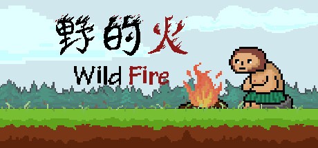 Games like Wild Fire