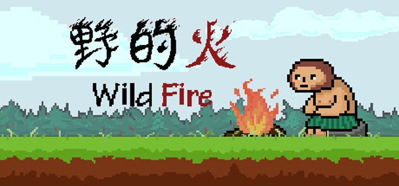 Wild Fire Image