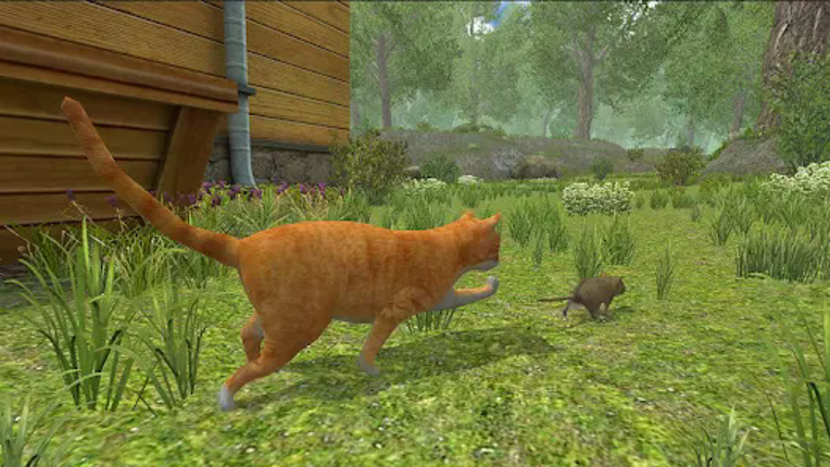 Mouse Simulator :  Forest Home screenshot