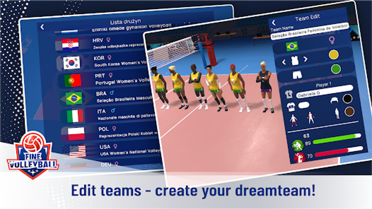 Fine Volleyball screenshot