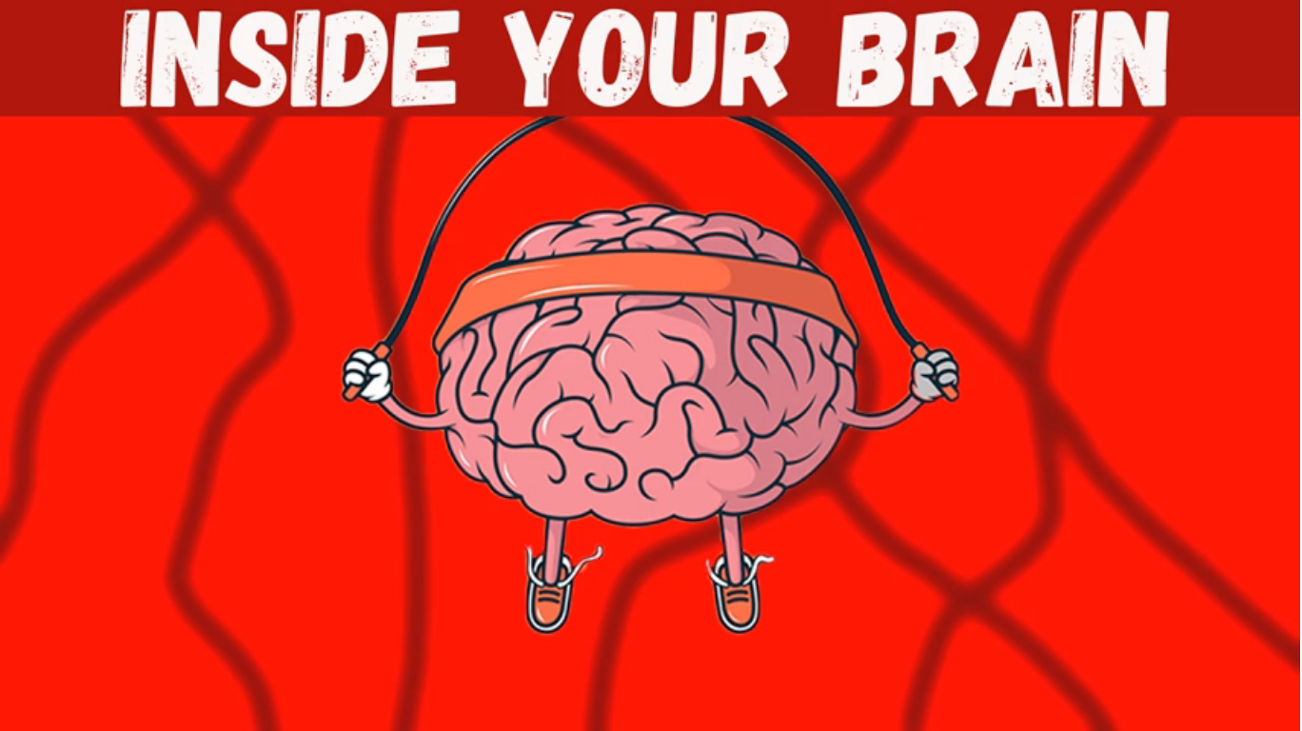 Games like Inside Your Brain