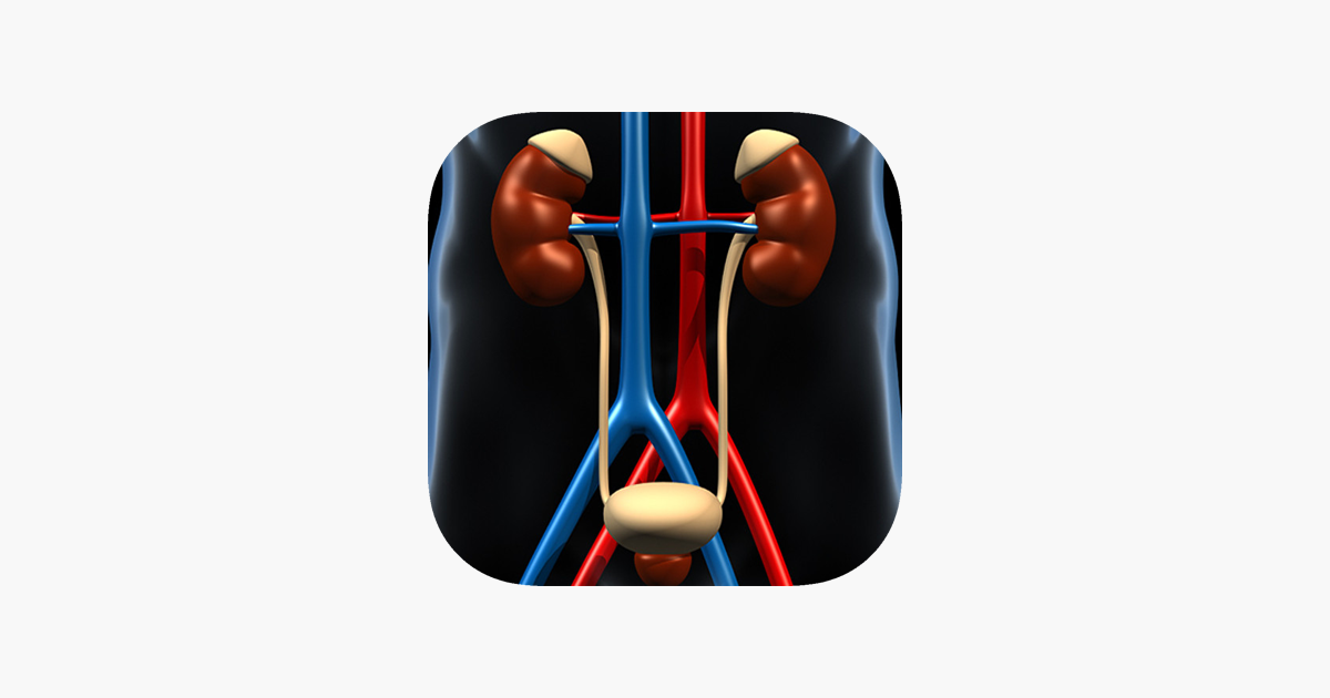 Games like Genitourinary System Trivia