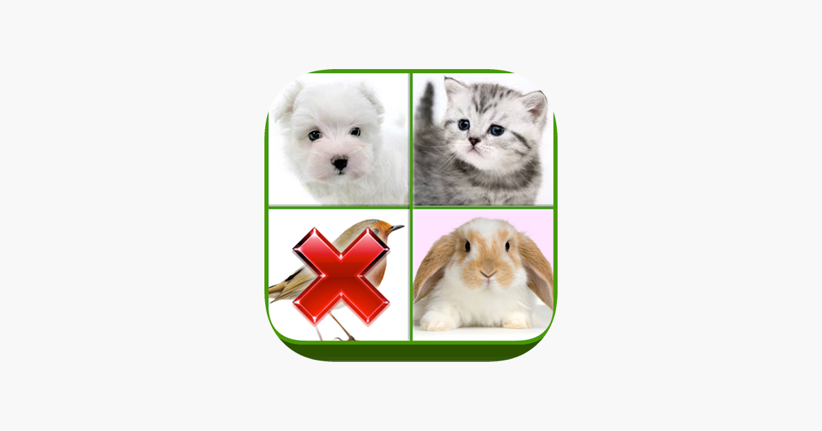 Games like Guess the Wrong Pic in 4 Pics