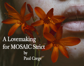 A Lovemaking for MOSAIC Strict Image