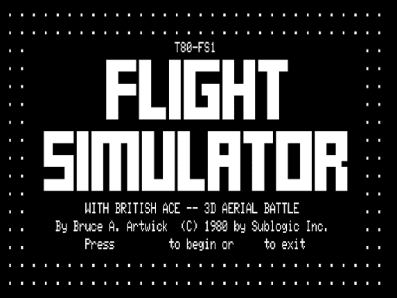 Flight Simulator Image