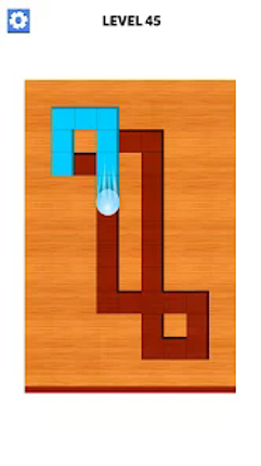 Maze Ball Paint Puzzle Image