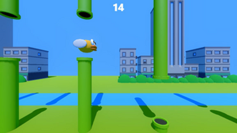 Jumping Bird Image
