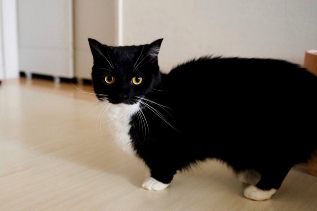 3D SHOOTER - Tutorial Image