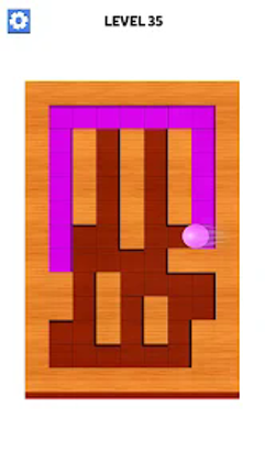 Maze Ball Paint Puzzle screenshot