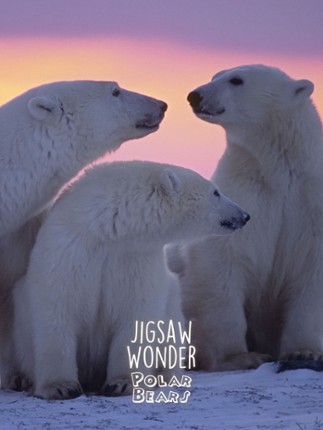Jigsaw Wonder Polar Bear Puzzles for Kids Free screenshot
