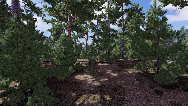 Out of the Ashes Image