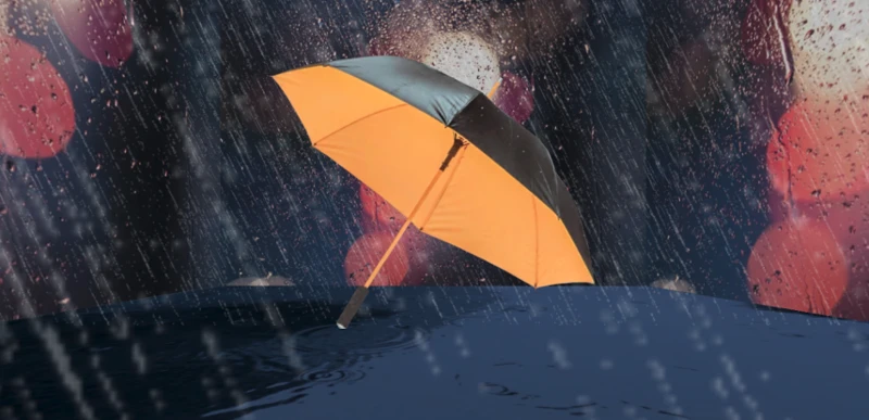 Soup: The Vibe Explorer Image