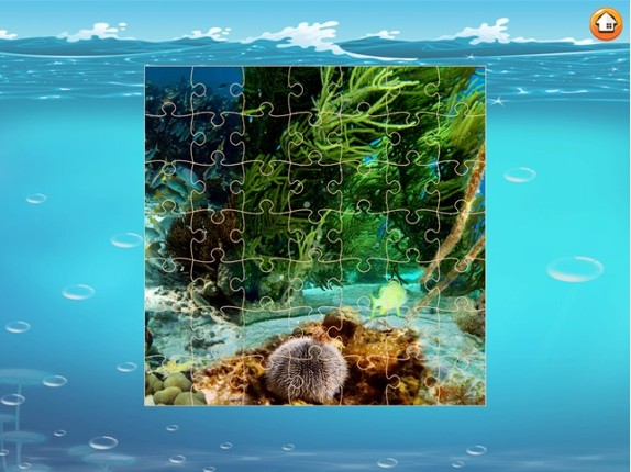 Finding Cute Fish And Sea Animal In The Cartoon Jigsaw Puzzle - Educational Solving Match Games For Kids screenshot