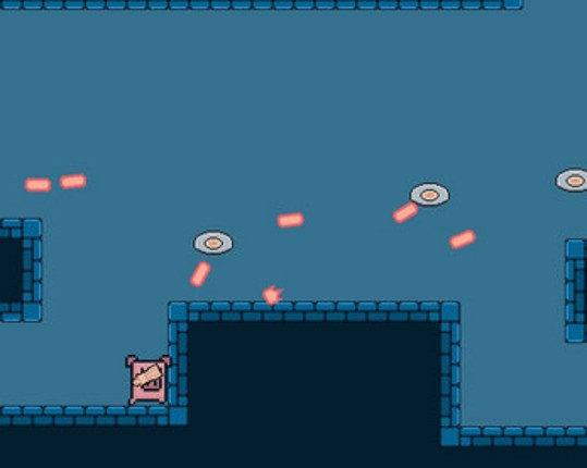 The pigs battle arena Image