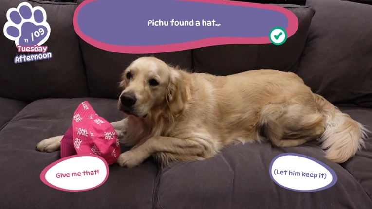 Golden Retriever Simple Life screenshot