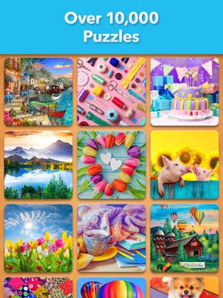 Jigsaw Puzzle screenshot