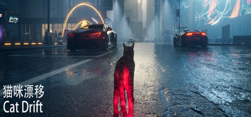 猫咪漂移 Cat Drift Image