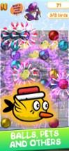 Birds: Candy Jewels Gems Match Image