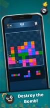 Brick Blocks -The board puzzle Image