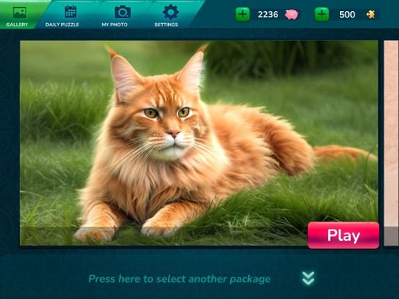 Cool Jigsaw Puzzle HD screenshot