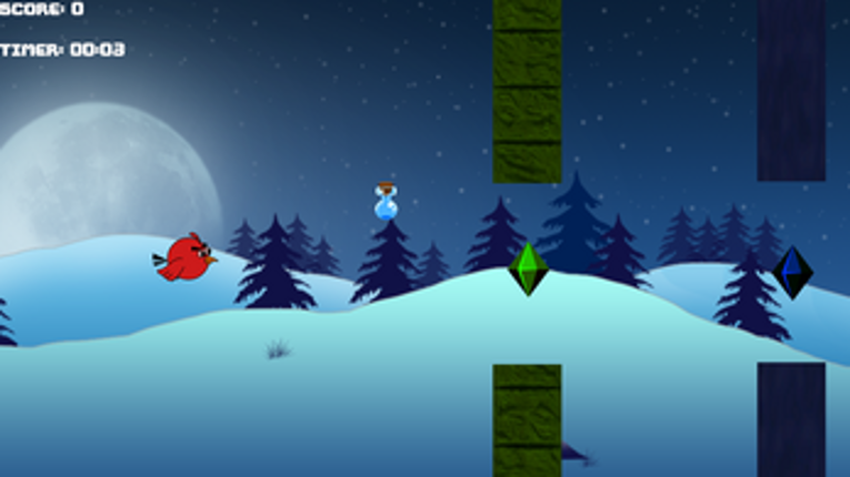 Flap To Freedom Image