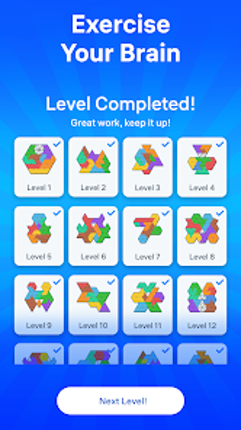 Triangle Tangram Block Puzzle Image