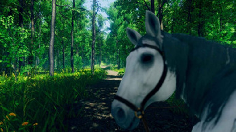 WanderWoods Image