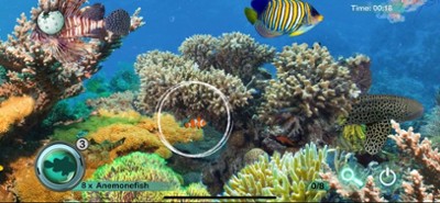 Hidden Objects Games: Animals Image