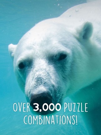 Jigsaw Wonder Polar Bear Puzzles for Kids Free screenshot