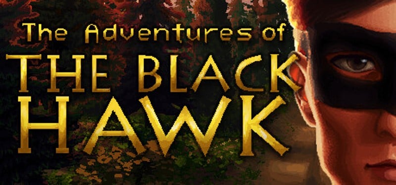 The Adventures of The Black Hawk Game Cover