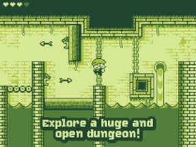 Tiny Dangerous Dungeons Image