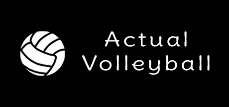 Games like Actual Volleyball