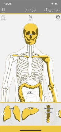 Enjoy Learning Anatomy puzzle screenshot