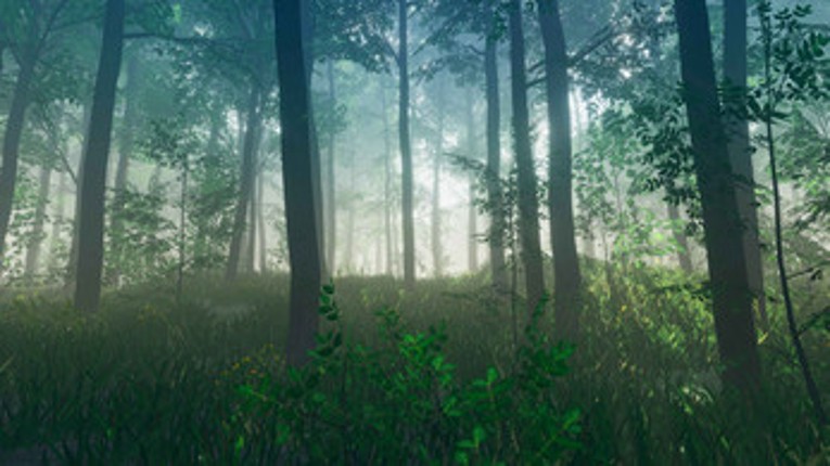 WanderWoods screenshot