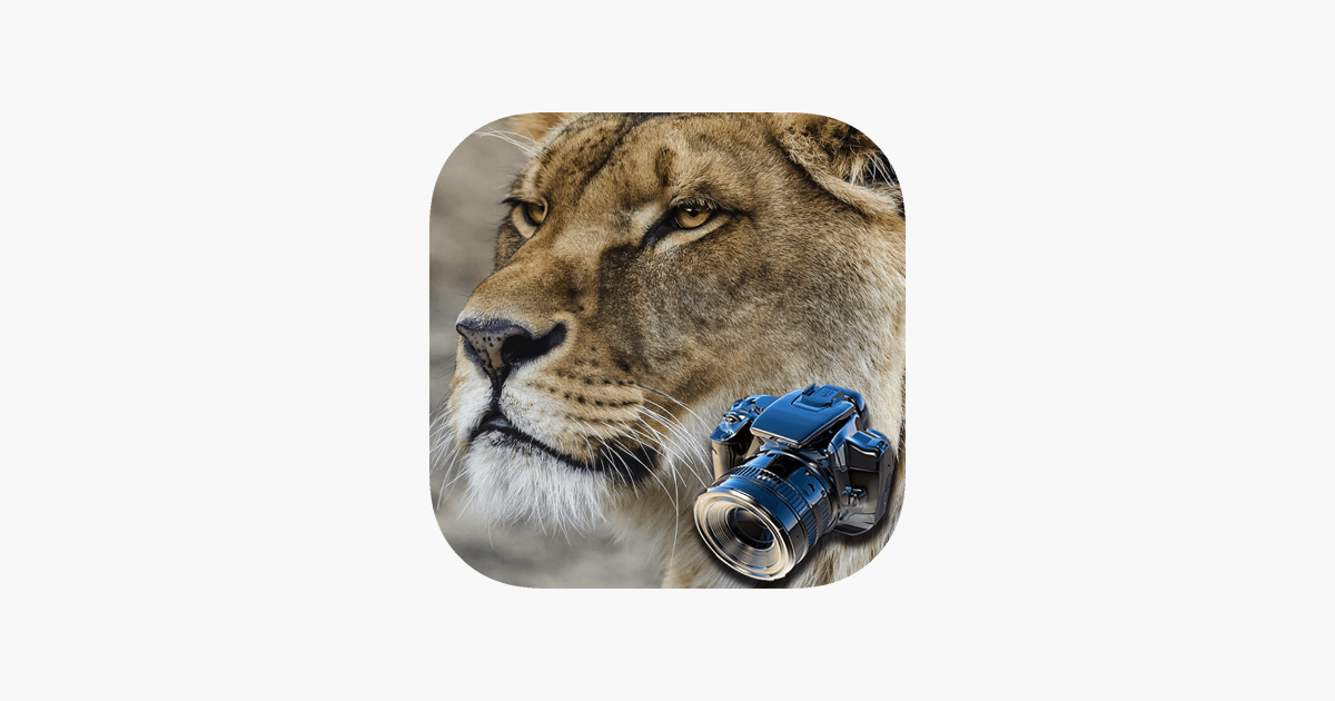 Games like Hidden Objects Games: Animals