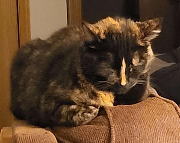 Games like Home for now