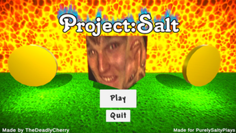 Project:Salt screenshot