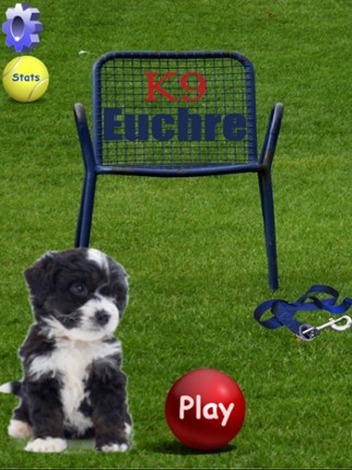 K9 Euchre screenshot
