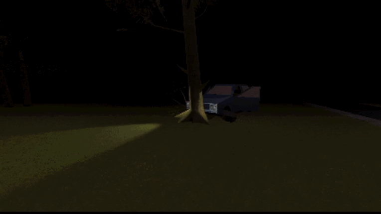 VHS: Replay Image