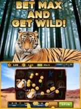 Wild Tiger Slots Machine Games Image