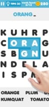 Word Search Puzzles∙ Image