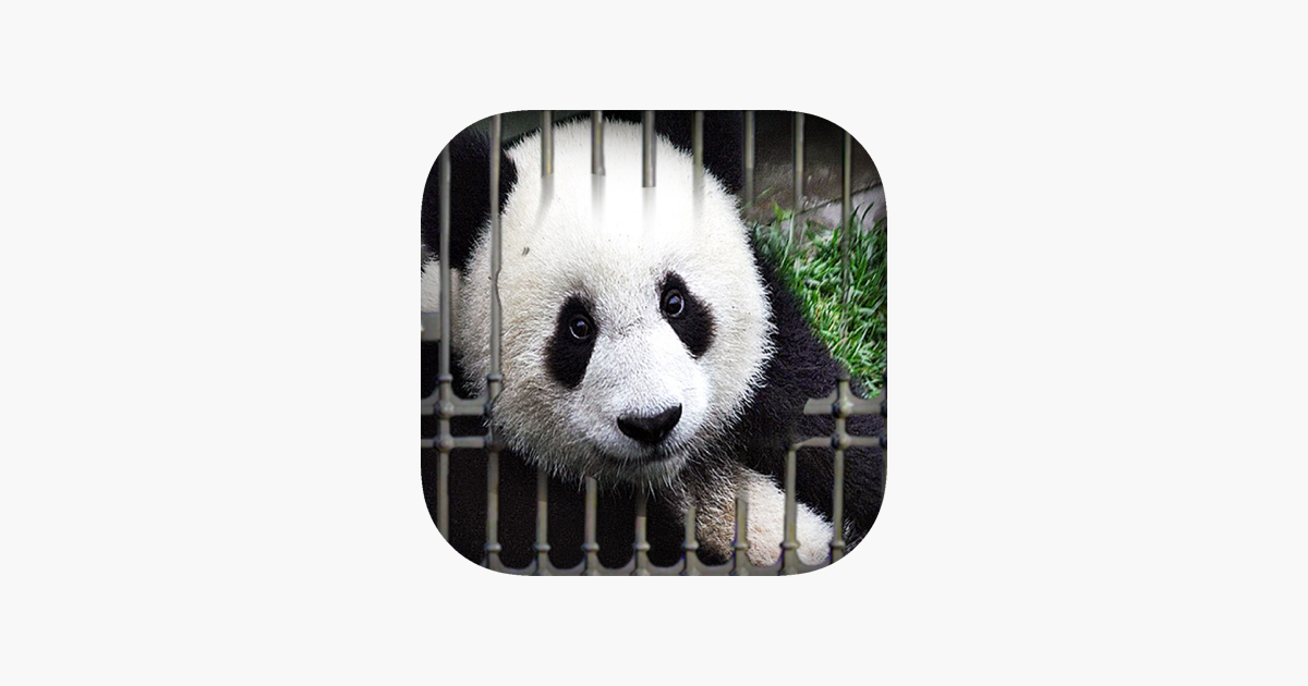 Games like Can You Escape – Baby Panda