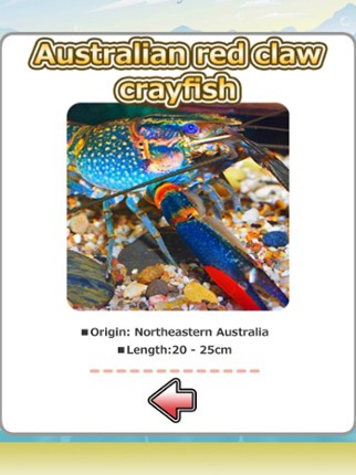 Crayfish fishing screenshot